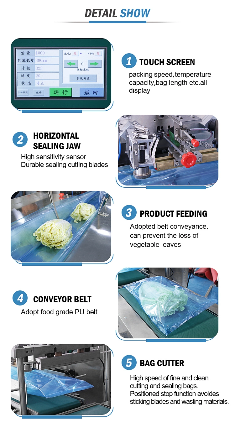 Custom Full Automatic Pillow Flow Blueberry Strawberry Garlic Horizontal Plastic Bag Filling/Packaging/Packing Machine